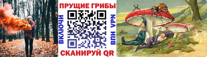 Псилоцибиновые грибы прущие грибы  Купить закладки  Коммунар 