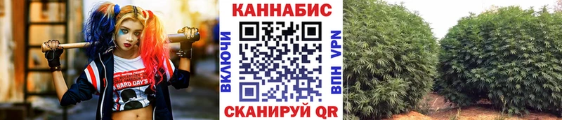Бошки марихуана план  Купить  Коммунар 